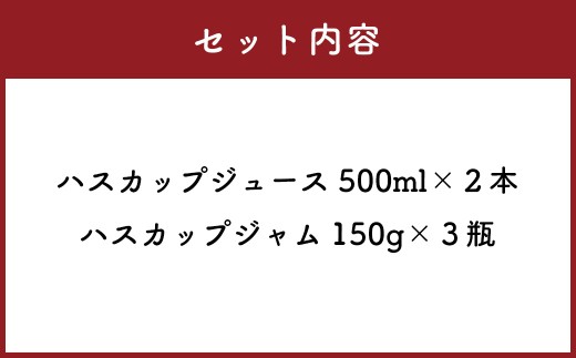 A059 ハスカップ 満足セット ハスカップ ジュース 500ml×2本 ハスカップ ジャム 150g×3瓶 北海道 鷹栖町 ハスカップ ジャム ハスカップ ジュース