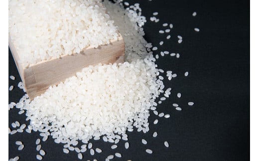 【 令和7年産 】 ゆめぴりか （ 白米 ） 10kg 北海道 鷹栖町 前田農場 米 コメ こめ ご飯 白米 お米 コメ 白米