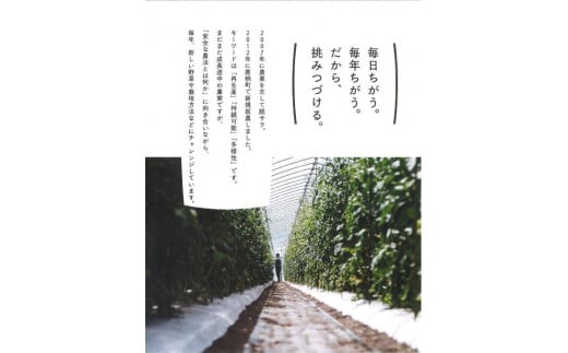 A134 【先行予約】夏限定お届け!フルーティな甘み!ロイシーコーン【北海道の白いとうもろこし】（10本セット）北海道 鷹栖町 原崎農園