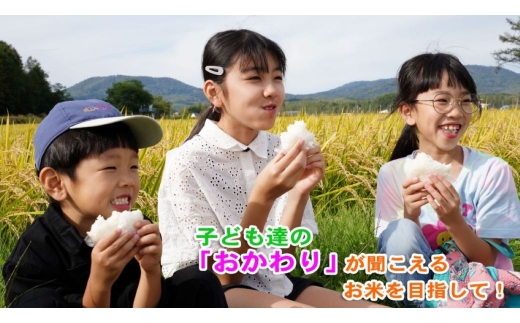 ゆめぴりか・ななつぼし 食べ比べセット 20kg（無洗米・真空）