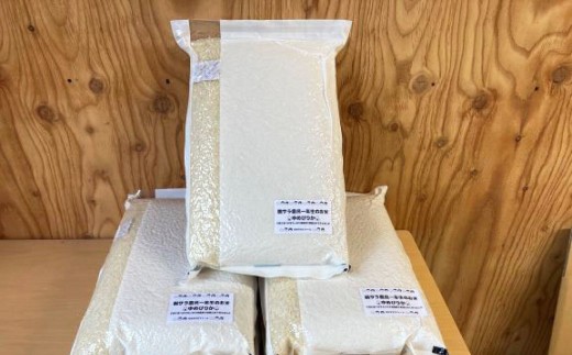 【令和7年産】 ななつぼし （無洗米） 真空パック 24kg