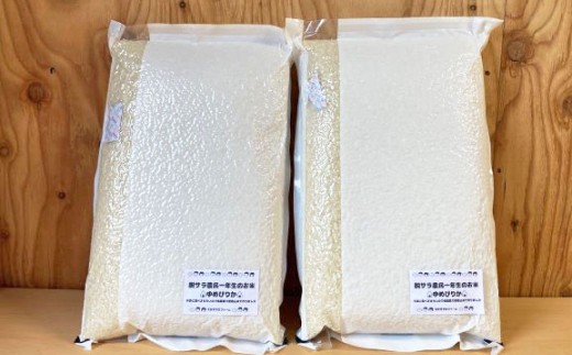 【令和7年産】ななつぼし （白米） 真空パック 5kg×2袋 10kg