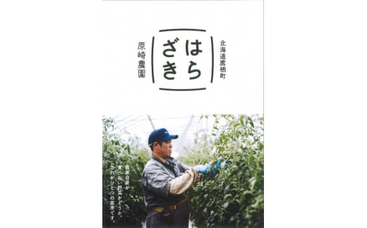 A133 【先行予約】春限定お届け!太いほど甘い【北海道産 春のアスパラガス】 約1kg 2L-3L（予約受付中）北海道 鷹栖町 原崎農園