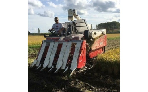 A244 【令和7年産】 ゆめぴりか （ 玄米 ） 栽培期間中農薬化学肥料不使用 5kg×2袋 たかすタロファーム 北海道 鷹栖町 米 コメ こめ ご飯 お米