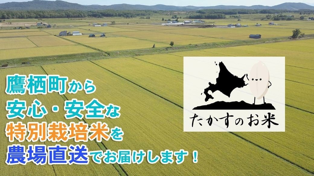 【令和7年産】 ゆめぴりか （精白米） 北海道 米 を代表する人気の品種 1kg ／ お米 米 ご飯 ごはん 北海道 鷹栖町 常温