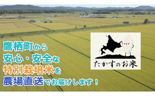 【令和7年産】 ななつぼし （無洗米） 北海道 米 定番の品種 1kg