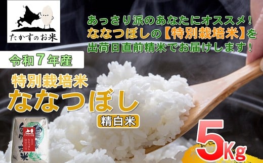 【 令和7年産 】 ななつぼし （ 精白米 ） 北海道 米 定番の品種 5kg 北海道 鷹栖町 たかすのお米 コメ こめ ご飯