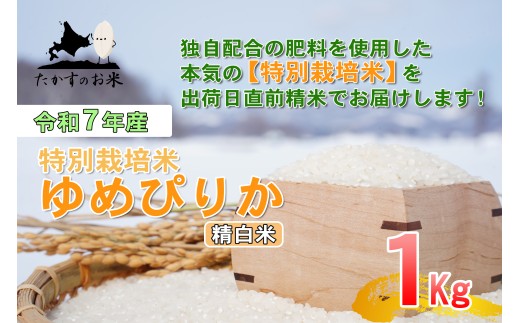 【令和7年産】 ゆめぴりか （精白米） 北海道 米 を代表する人気の品種 1kg