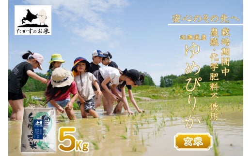 【 令和7年産 】 ゆめぴりか （ 玄米 ）