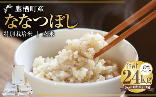 【令和7年産】ななつぼし （玄米） 真空パック 24kg