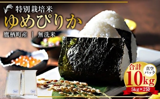 【令和7年産】 ゆめぴりか （無洗米） 真空パック 5kg×2袋 10kg