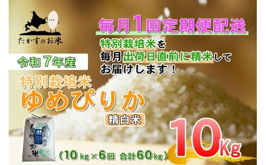 【6回定期便】 【令和7年産】 ゆめぴりか （精白米） 10kg×6回 合計60kg ｜ 北海道 鷹栖町 たかすのお米 米 コメ こめ ご飯