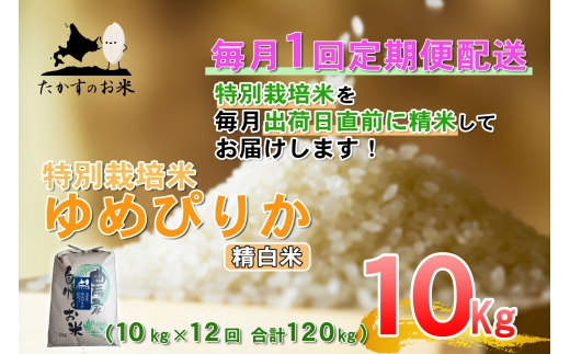 ゆめぴりか精白米約10kg（約10kg×1袋）定期便