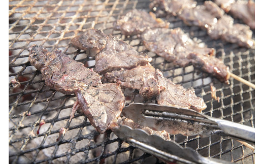 A101エゾシカ 鹿肉 ロース・タン 串物 セット 各5本入り 北海道 鷹栖町 ロース もも肉 使用 高たんぱく 低脂肪 山恵 鹿肉 ジビエ