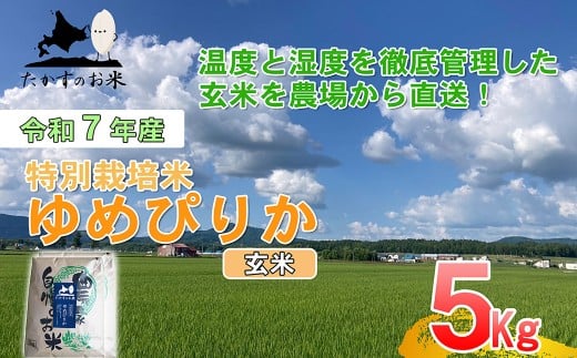 【令和7年産】 ゆめぴりか (玄米) 北海道 米 を代表する人気の品種 5kg 北海道 鷹栖町 たかすのお米 米 コメ こめ ご飯