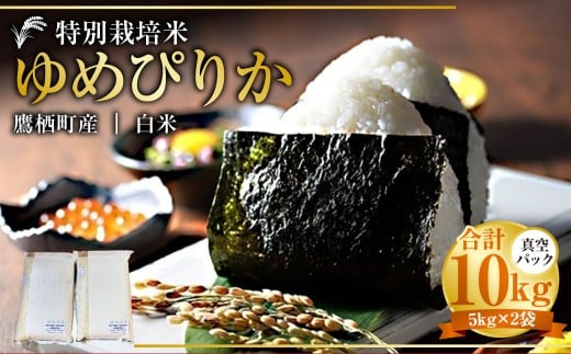 【令和7年産】 ゆめぴりか （白米） 真空パック 5kg×2袋 10kg