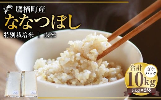 【令和7年産】ななつぼし （玄米） 真空パック 5kg×2袋 10kg