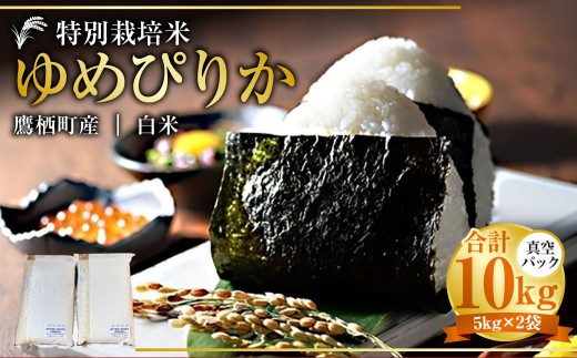 【令和7年産】 ゆめぴりか （白米） 真空パック 5kg×2袋 10kg