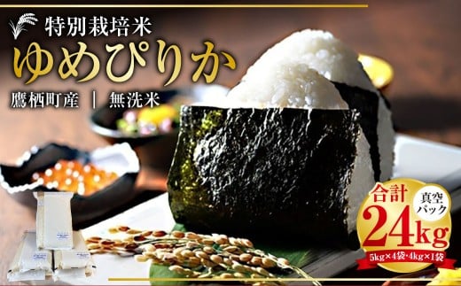 【令和7年産】 ゆめぴりか （無洗米） 真空パック 24kg