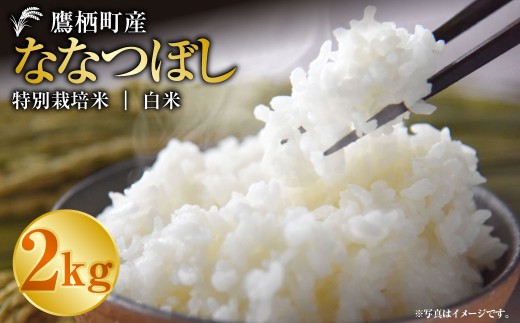 【令和7年産】ななつぼし（白米）2kg