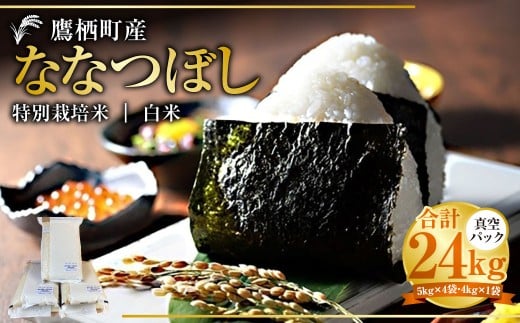 【令和7年産】ななつぼし （白米） 真空パック 24kg