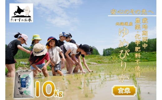 【 令和7年産 】 ゆめぴりか （ 玄米 ）