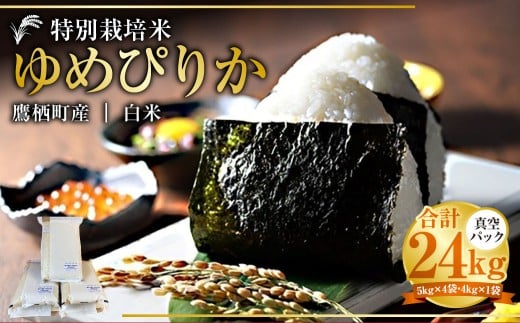 【令和7年産】 ゆめぴりか （白米） 真空パック 24kg