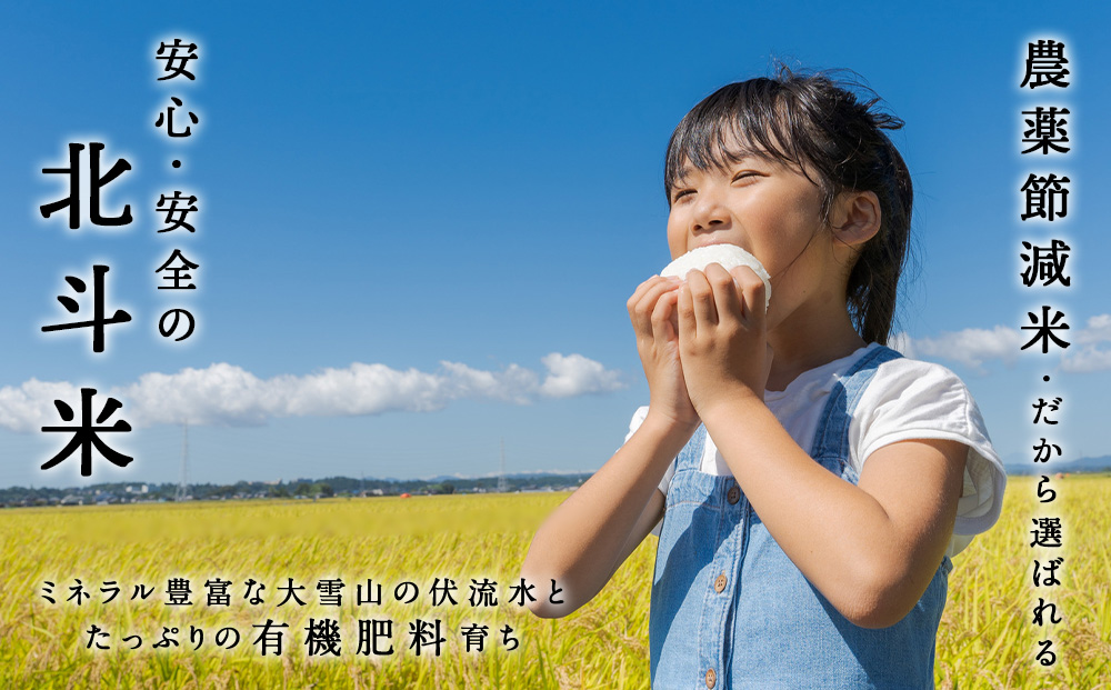 【令和7年産】北斗米ななつぼし20kg（5kg×4袋）