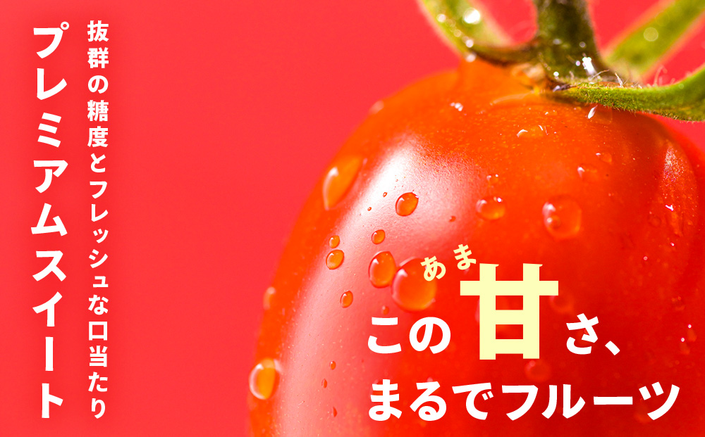 【2026年先行予約】朝採りPremium Sweet＆フルーツミニ 計1kg