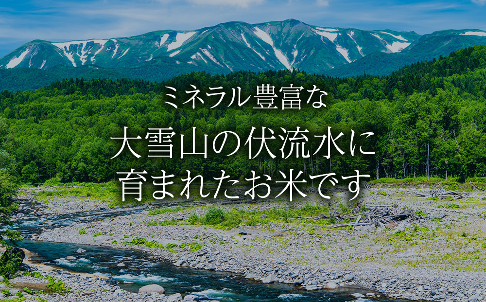 特別栽培米ゆめぴりか 5kg  白米