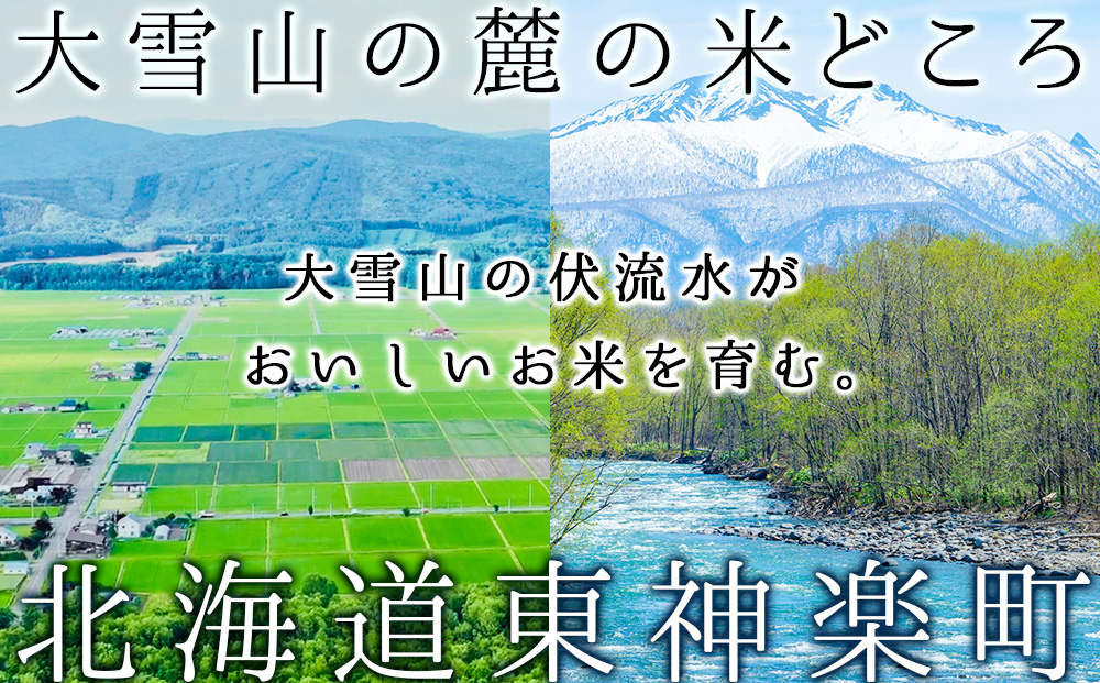 【お米の定期便】ゆめぴりか 2kg×2袋 《普通精米》全3回【令和8年1月発送】