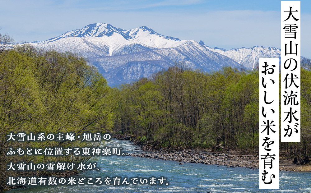 【定期便3ヵ月】【令和8年産 新米予約】北海道産 ゆめぴりか 白米 10kg（5㎏×2）