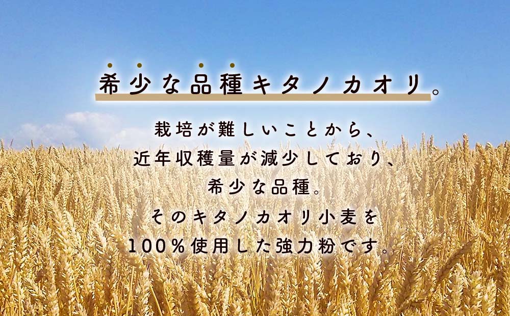 北海道　東神楽町産小麦粉で作る、クッキー手作りセットとひがしかぐらジャム2本（ハスカップ、ブルーベリー）【N022】