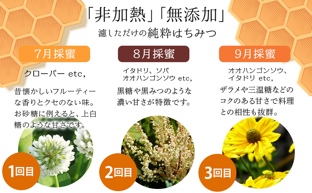【定期便・頒布会】3ヵ月連続お届け！東神楽産採れたまんまの純粋はちみつ 240ｇ 蜂蜜 ハチミツ
