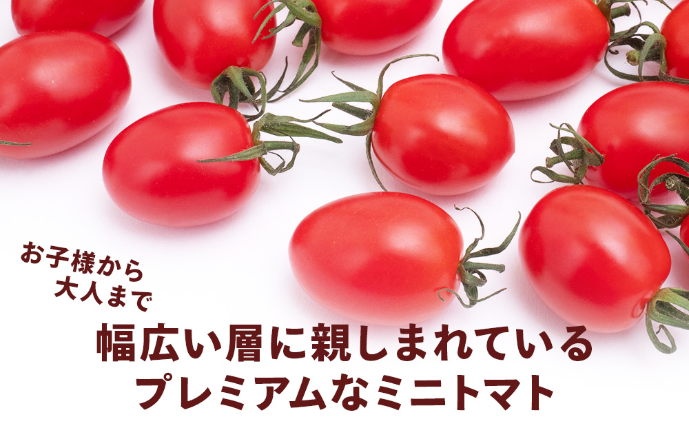 【2026年先行予約】朝採りPremium Sweet＆フルーツミニ 計1kg