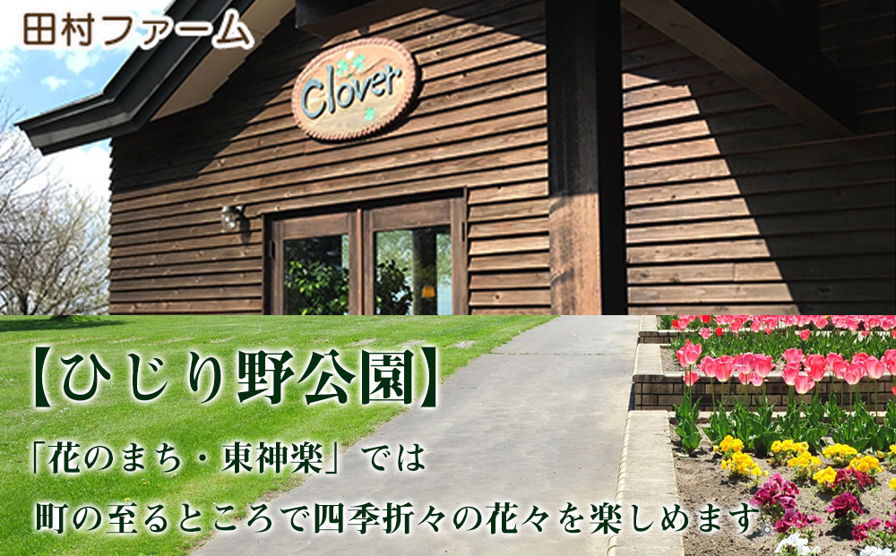 北海道 東神楽町 ☆応援寄附金【返礼品なし】5,000円分