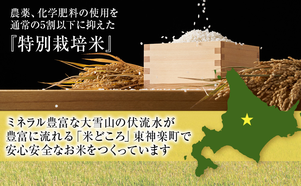 特別栽培米ゆめぴりか 5kg  白米
