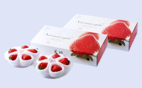 2026年産 先行予約【夏イチゴ】奇跡のひと粒「夏瑞」4パックセット 果物 フルーツ 苺 いちご 国産 北海道産