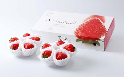2026年産 先行予約【夏イチゴ】奇跡のひと粒「夏瑞」2パックセット 果物 フルーツ 苺 いちご 国産 北海道産