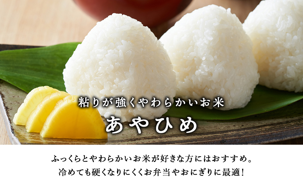 【定期便 6カ月】【令和7年産・新米】あやひめ 5kg