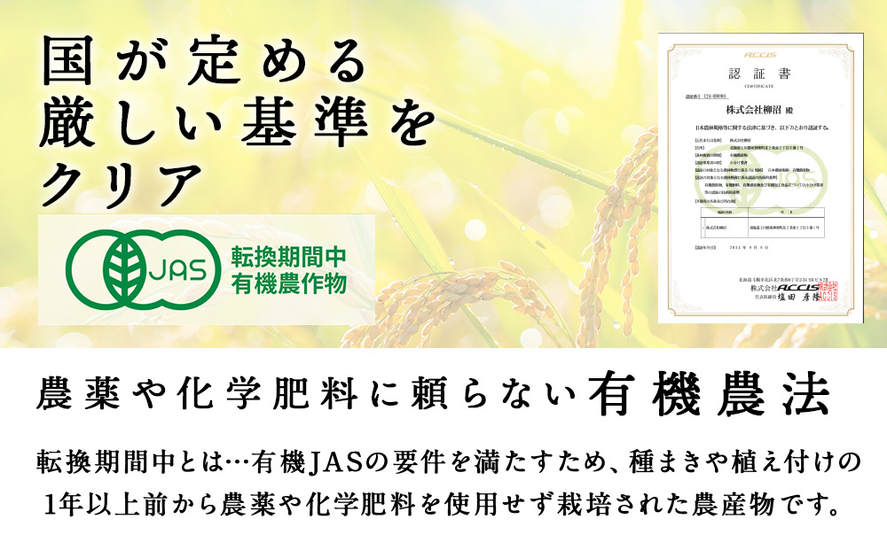 【令和7年産】有機JAS認証米ゆめぴりか（転換期間中）20kg（5kg×4） 国産 北海道産