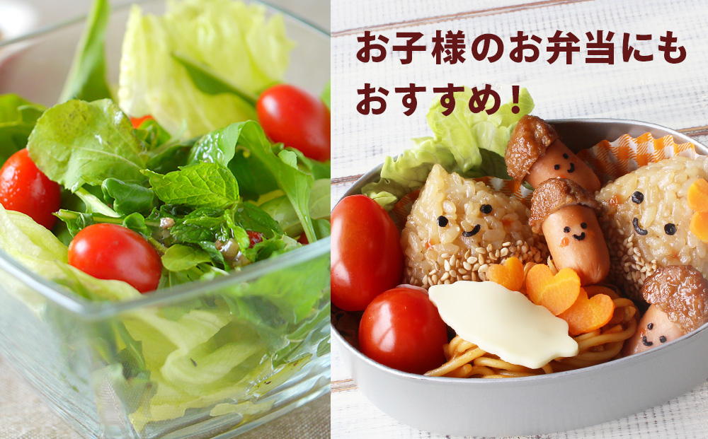 【2026年先行予約】【朝採れ最短発送！】 Premium Sweet 1kg フルーツミニトマト