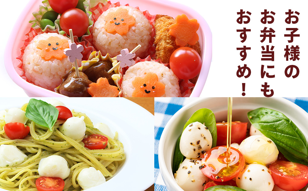 【2026年先行予約】【朝採れ最短発送！】フルーツミニ ミニトマト1kg