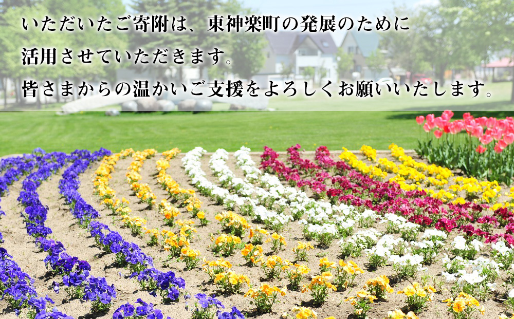 北海道 東神楽町 ☆応援寄附金【返礼品なし】10,000円分