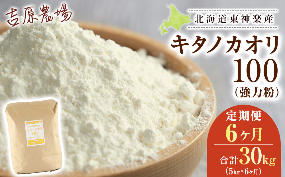 【定期便 6カ月】キタノカオリ 5kg 小麦粉 東神楽産 強力粉