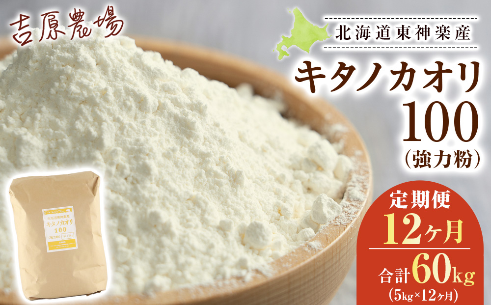 【定期便12カ月】キタノカオリ 5kg 小麦粉 東神楽産 強力粉