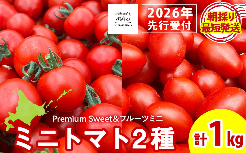 【2026年先行予約】朝採りPremium Sweet＆フルーツミニ 計1kg