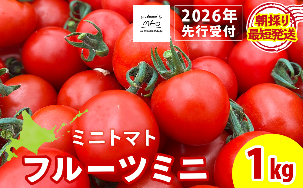 【2026年先行予約】【朝採れ最短発送！】フルーツミニ ミニトマト1kg