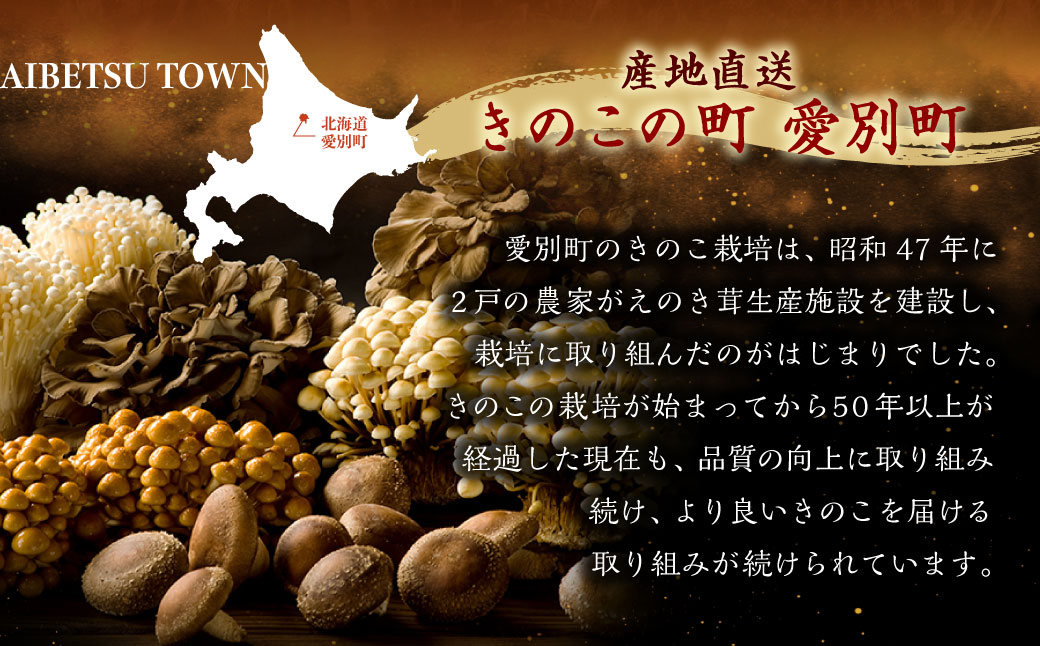 きのこ詰合せ（6種類）セット【B05201】