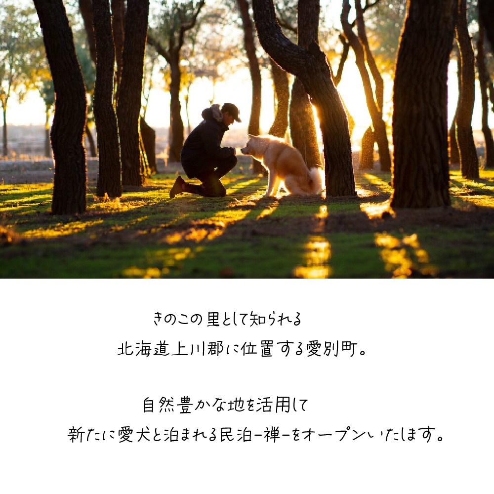 億超え邸宅 「民泊 Goldlich」1棟貸し券 I06205